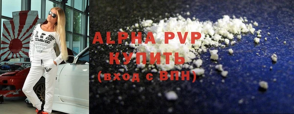 гашик Вяземский